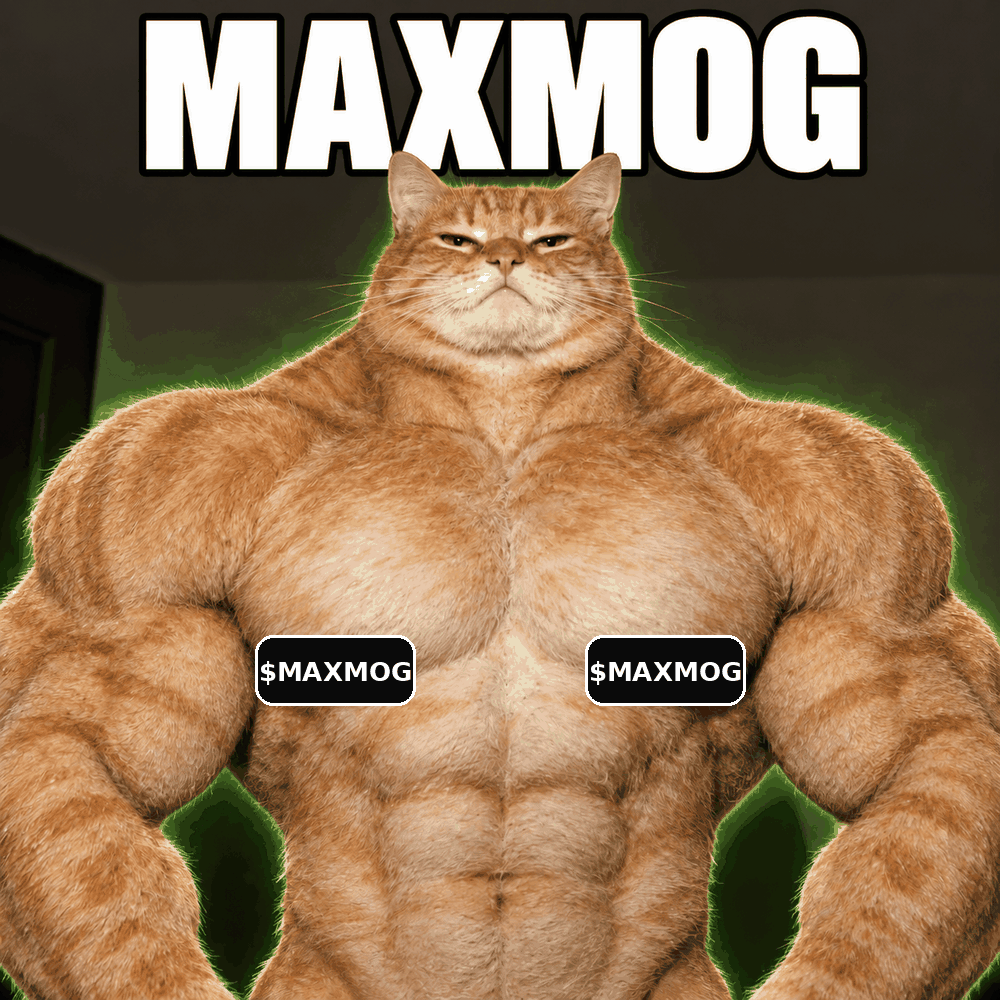Animated MAXMOG muscular orange cat